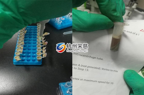 <a href=http://www.yoooo.com.cn/prouduct/lengdong/ target=_blank class=infotextkey>冷凍研磨儀</a>